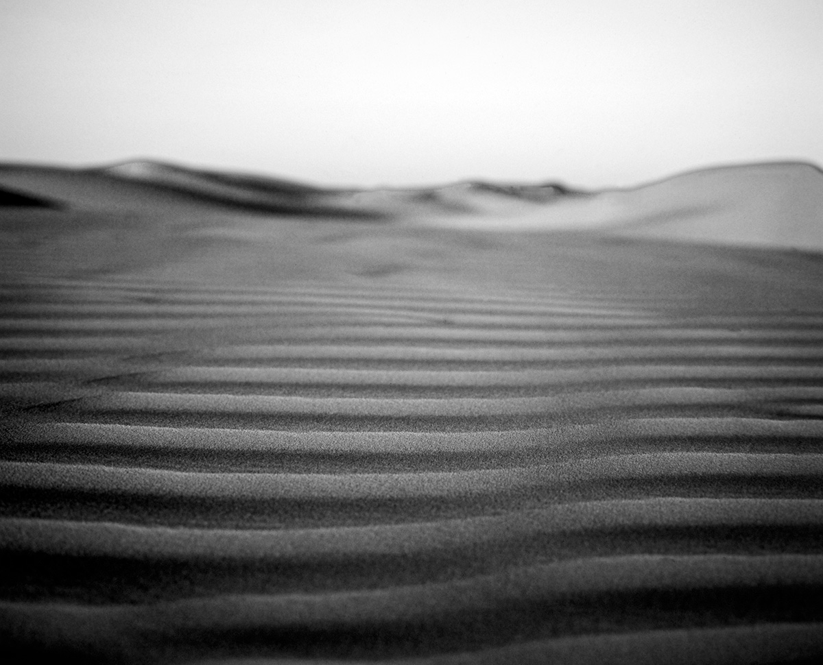 Dune-6